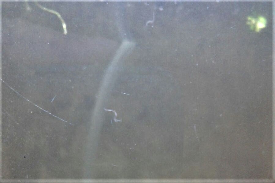 WhatsApp Image 2017-04-10 at 11.53.37