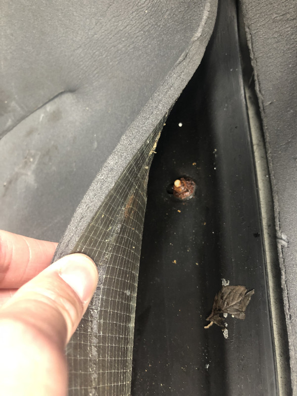 FF564ED1-3A99-4C0D-8776-7C6BB9395679