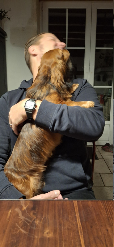 [Image: 20251010-071411.jpg]