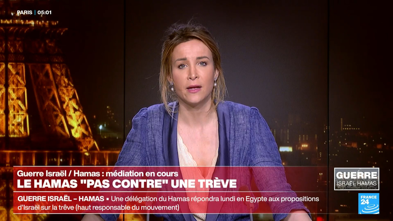 Le journal France 24 (FR) (France 24)_2024_04_29_03_55_05.ts_snapshot_06.01.190