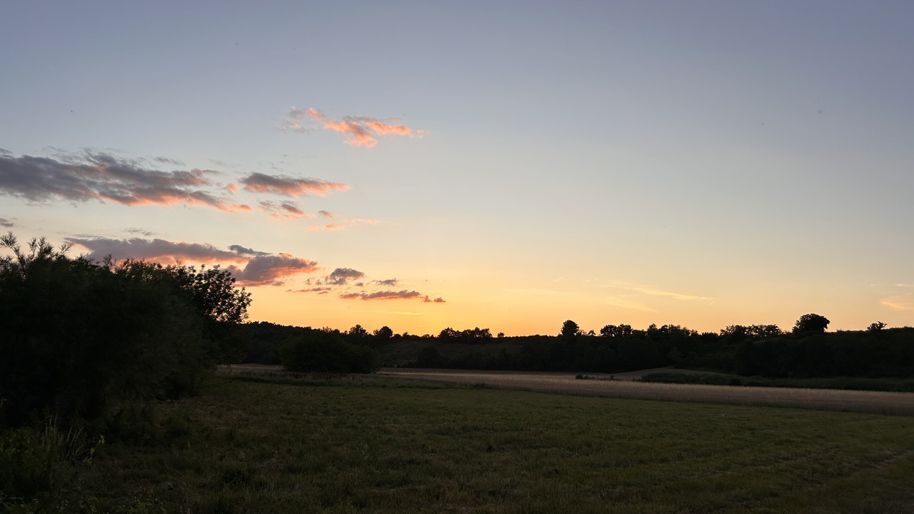 IMG-1587.jpg
