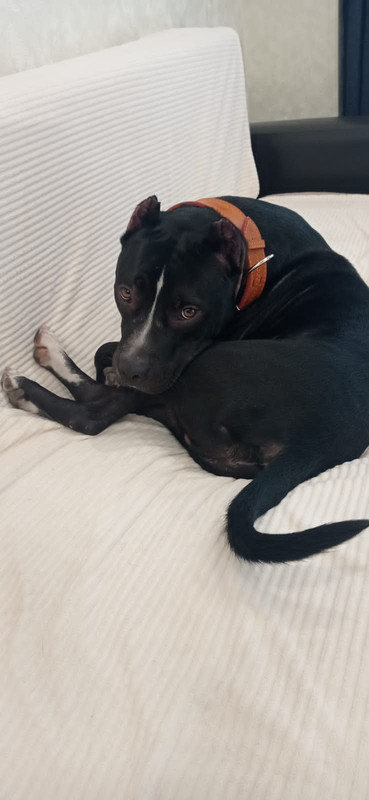 457DE243-8C2C-4CB1-8983-231F75766D81