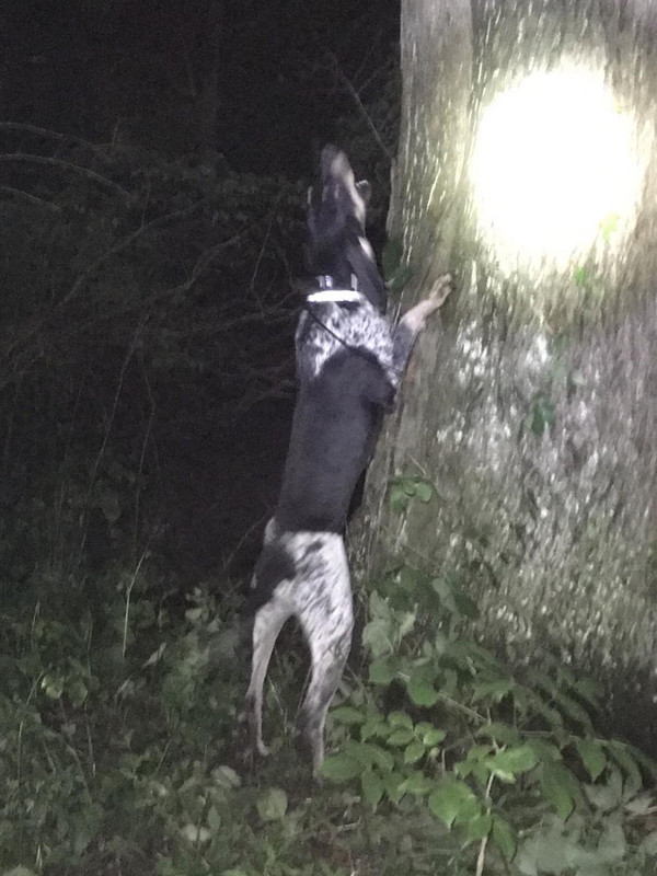 67E81493-4CB7-4A2D-86CA-C49ACB21C186