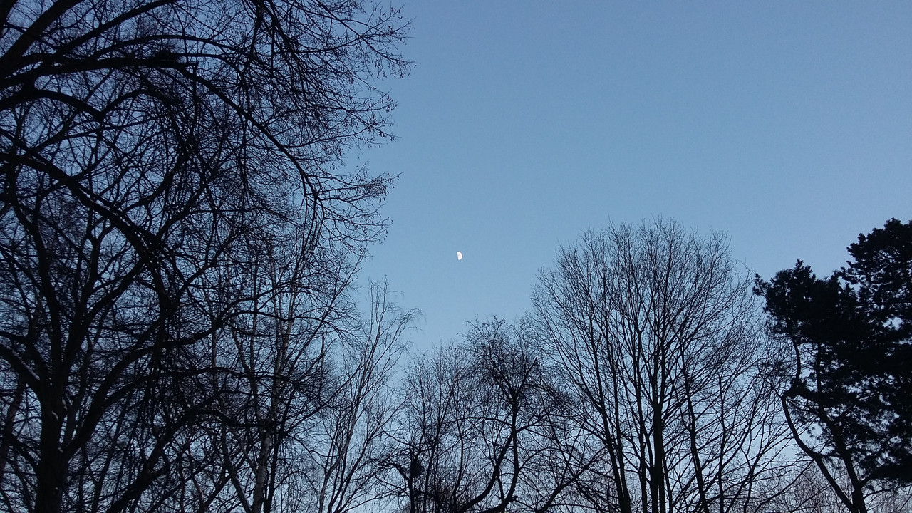 0716 - 20170106_153228