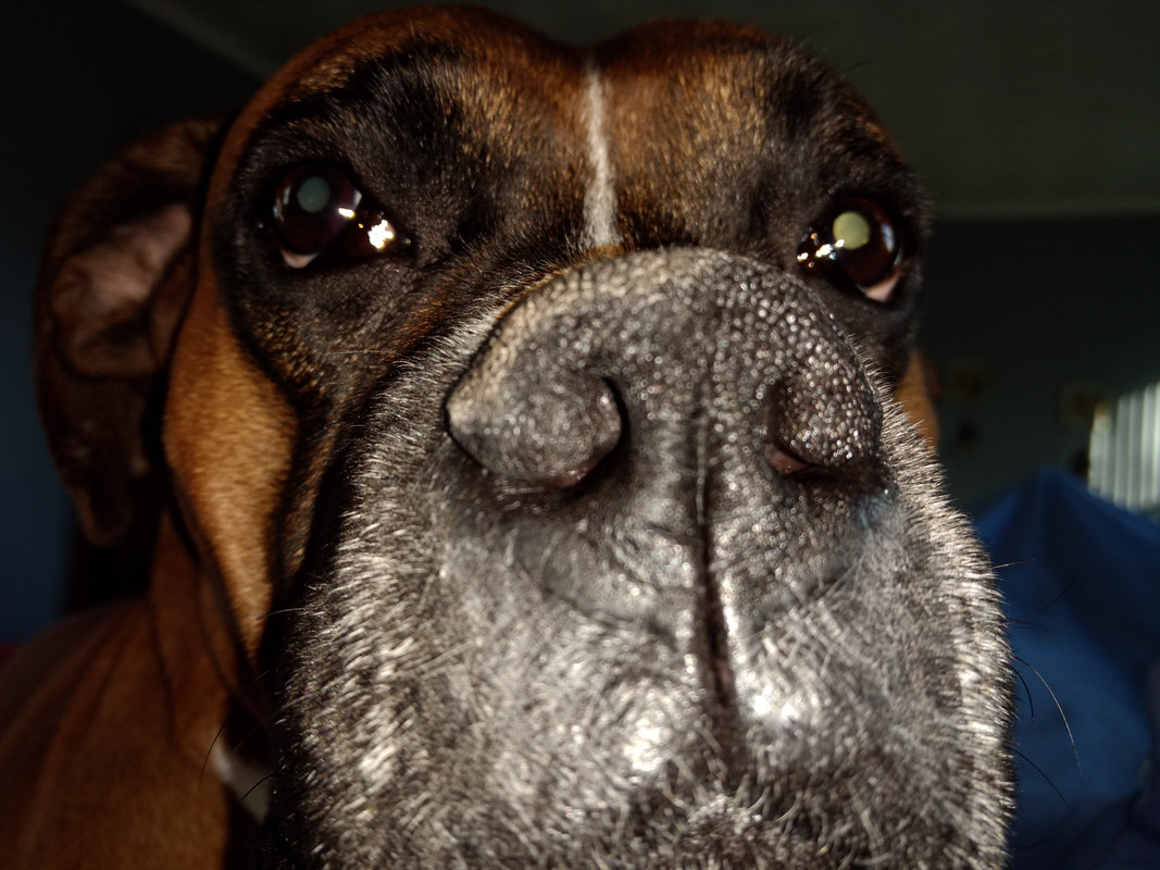 IMG_20180125_162346435