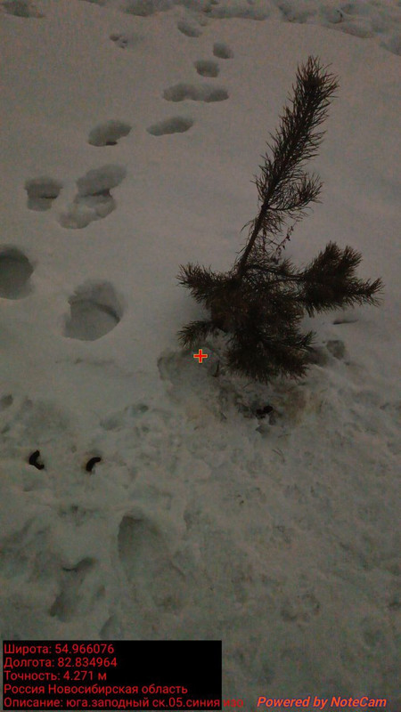 photo 1 2026 02 17 18 53 08