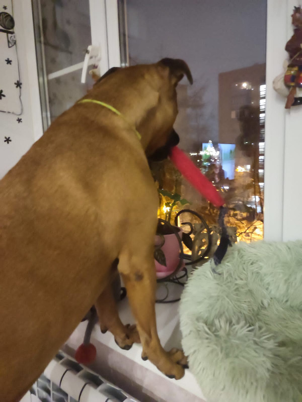 60F4AC8A-BC76-4A4C-9944-3452F719B967