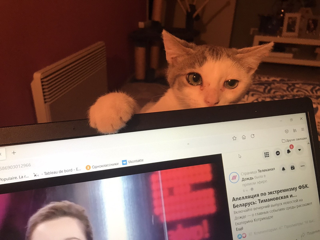 B33E3A5F-40A7-4469-B16B-43E4EFA4E198