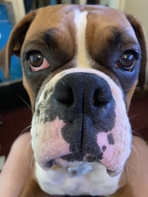 26D954C3-C879-4A66-8A98-42DB8274A4ED