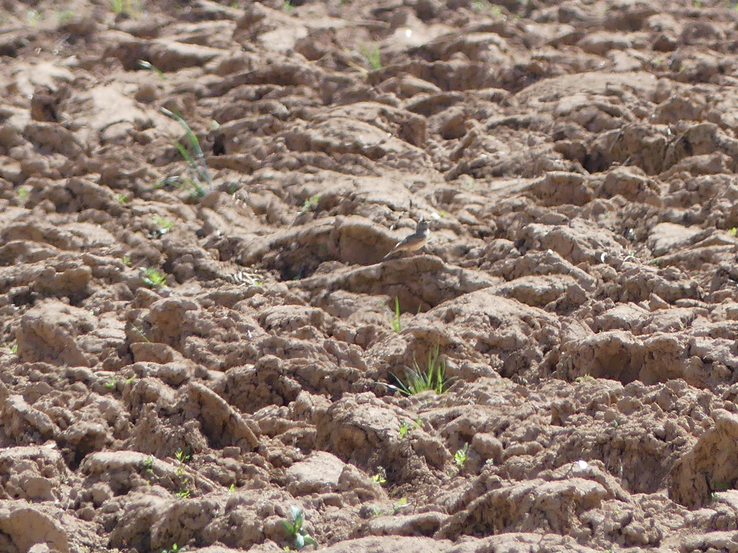 E853B1E1-08D0-42DE-92E6-BBBE320BEAFE