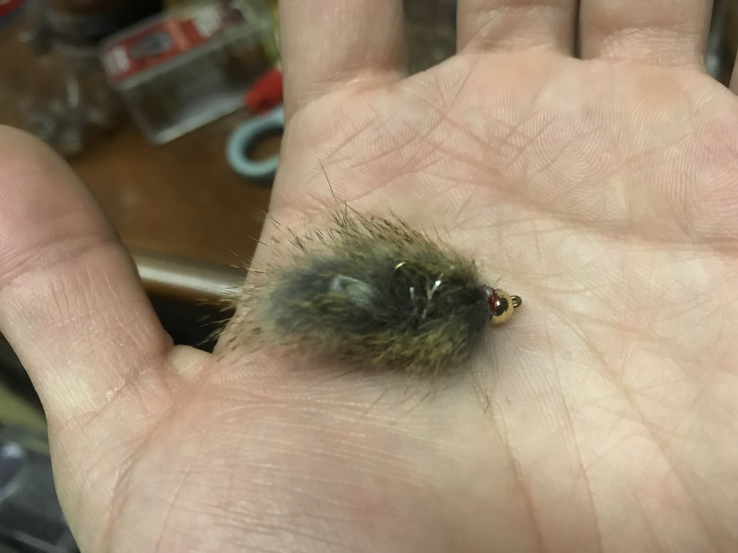 D1861DAA-0ADE-4BE7-9522-733697A7E7B3