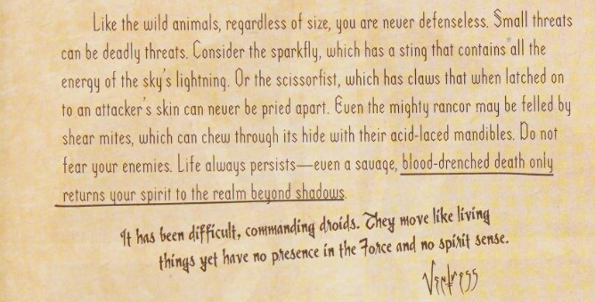 Beyond Shadows is the Spirit Realm