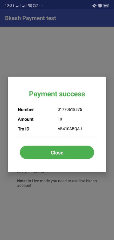 bKash Payment