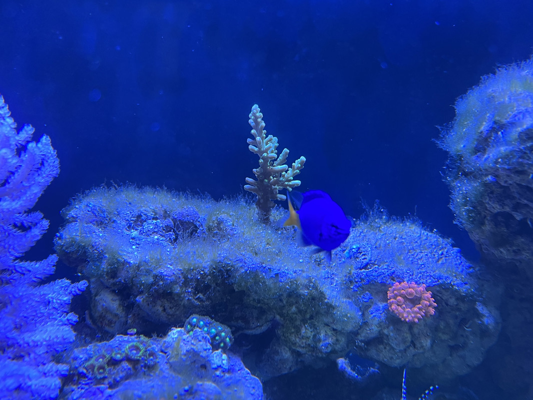 AD5C7A5D-8235-4044-B666-4A185763756C