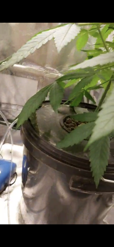 86B6FF01-356E-4854-A4B8-30324578C9AF