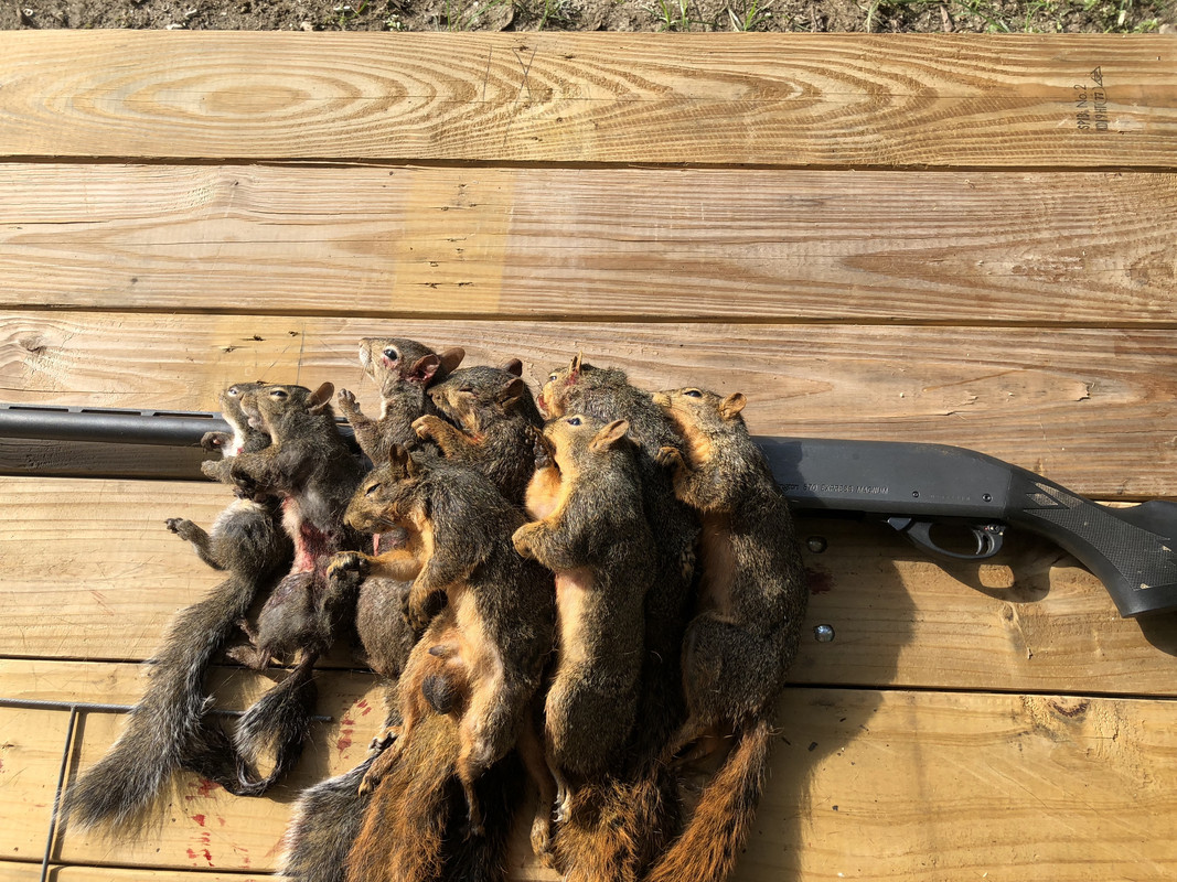 12755FD1-AF42-4A12-B799-CEF99C385075