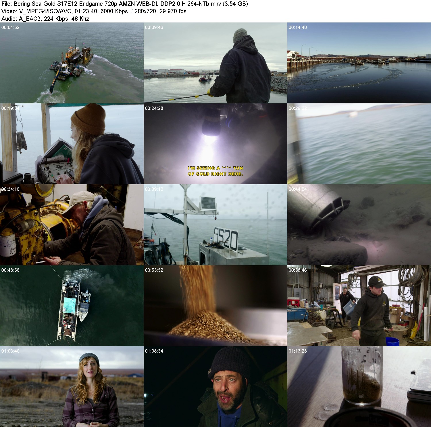 [Image: 81vq7xekvyw8.jpg]