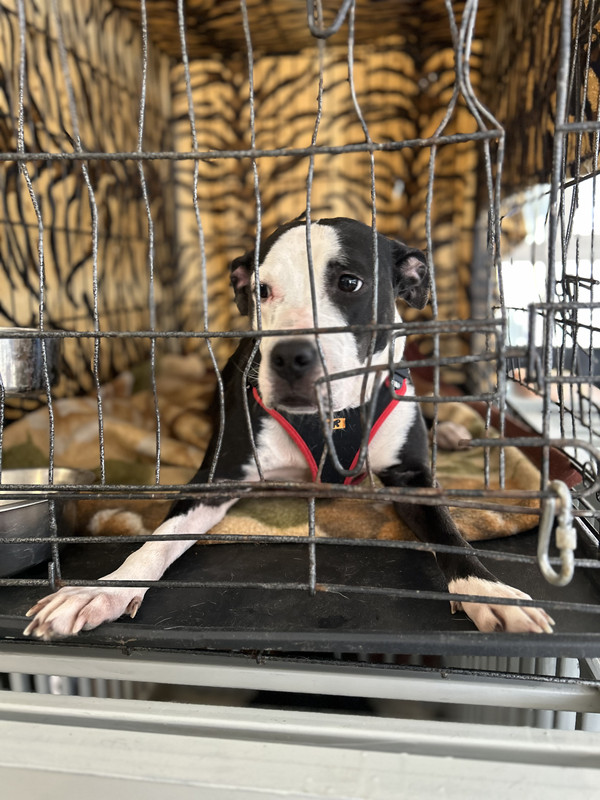 6952678E-C474-474F-A844-5F5F095D1345