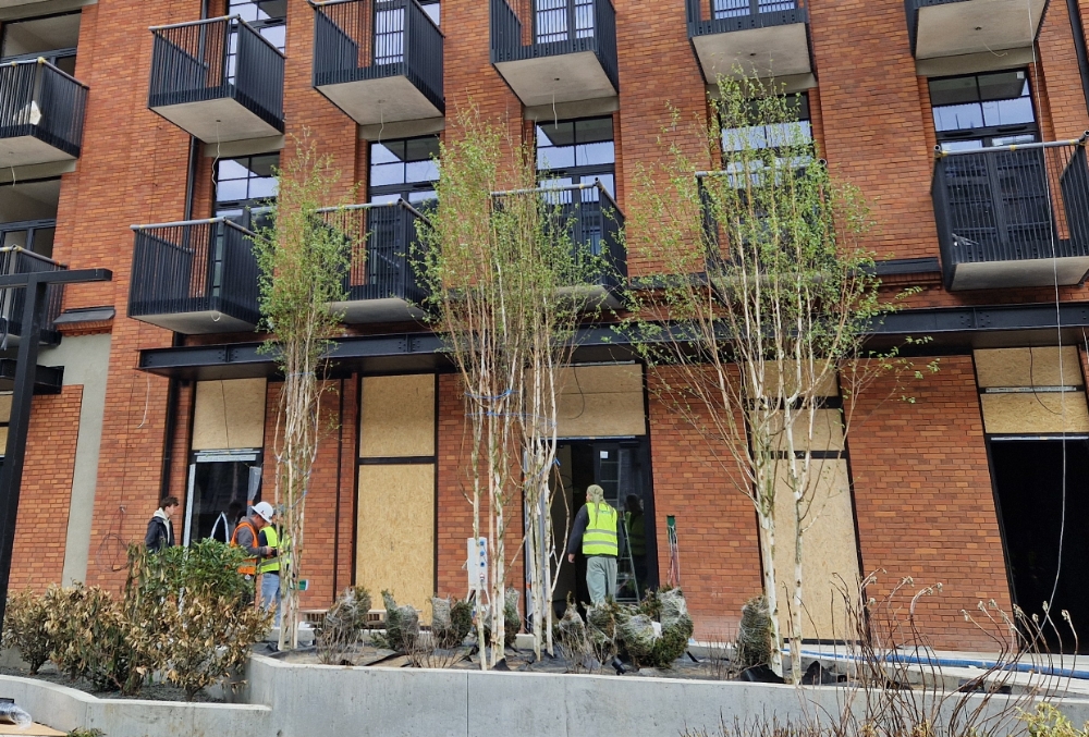 Obrazek