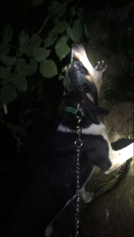 74501FBD-126D-421C-87AE-7CBA49178A2E