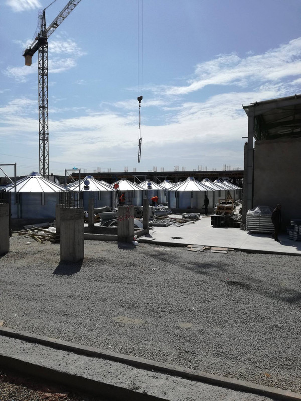 Image de la galerie COSEM 13