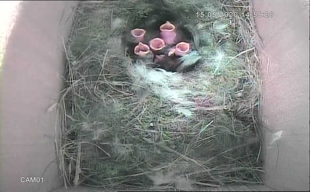 7DCB5F90-0073-4EEC-AA91-B847E33CF2AB