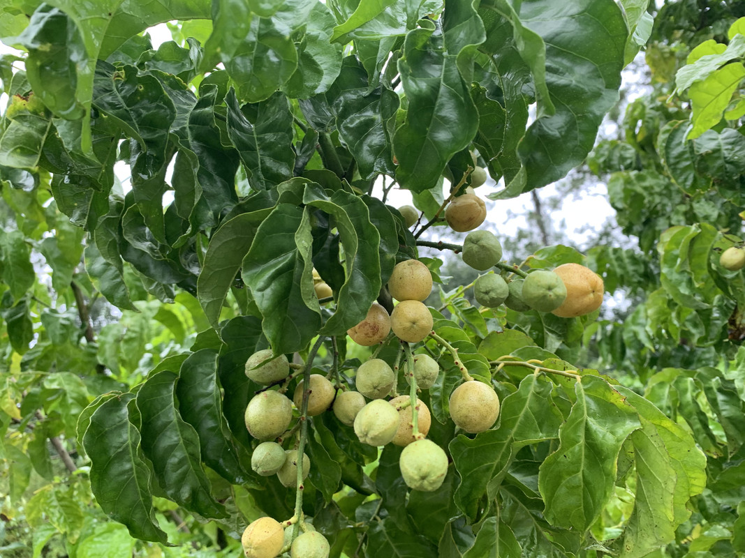 508E0706-8F83-445E-99E9-8314CBA46EFD