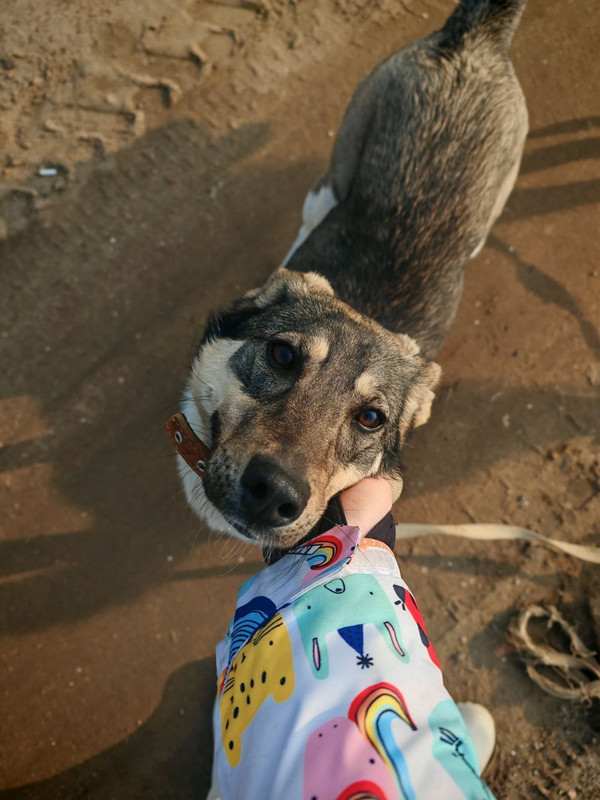 gMC6YdzOBmDZlMmiLvAIzdjkOVhgAHB2LVl22CwMYkWlHmhepAIJn2kdCt6b5NoEc3tdhoP5Gicx-bi448a_VlhG