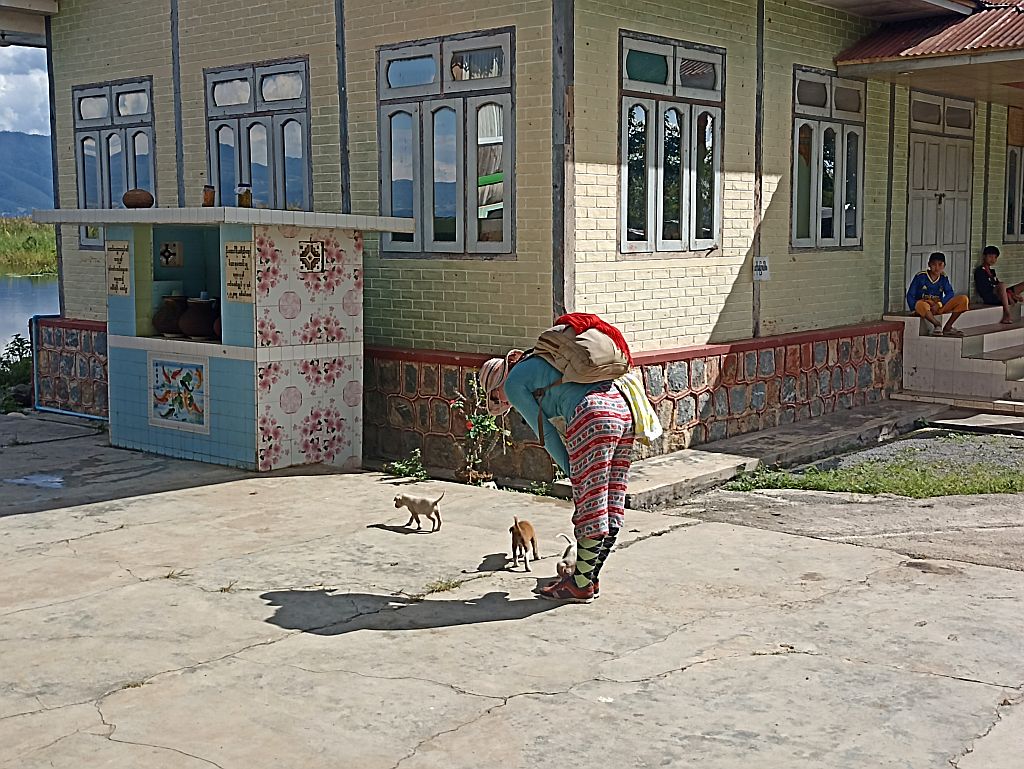 https://i.postimg.cc/2jnvp05r/IMG-20231104-134103.jpg