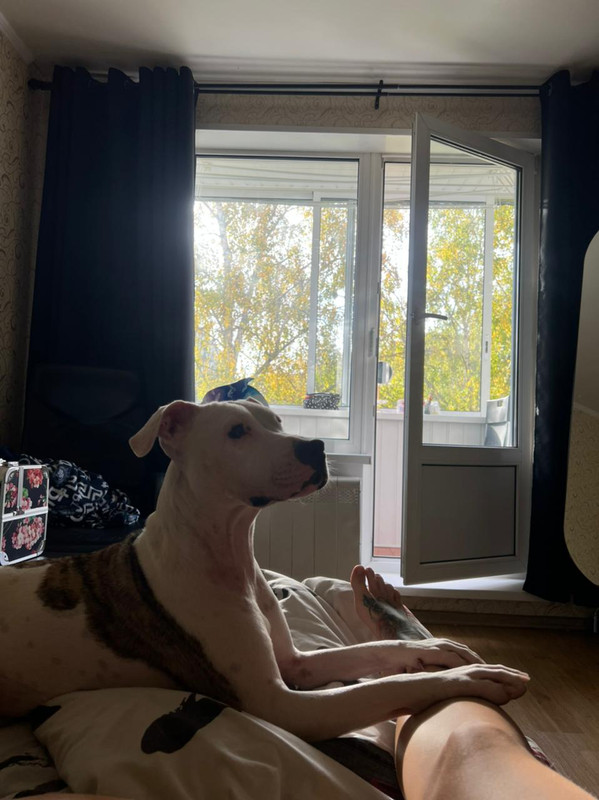 DB59D871-1774-4EE3-914A-4267AB091A74