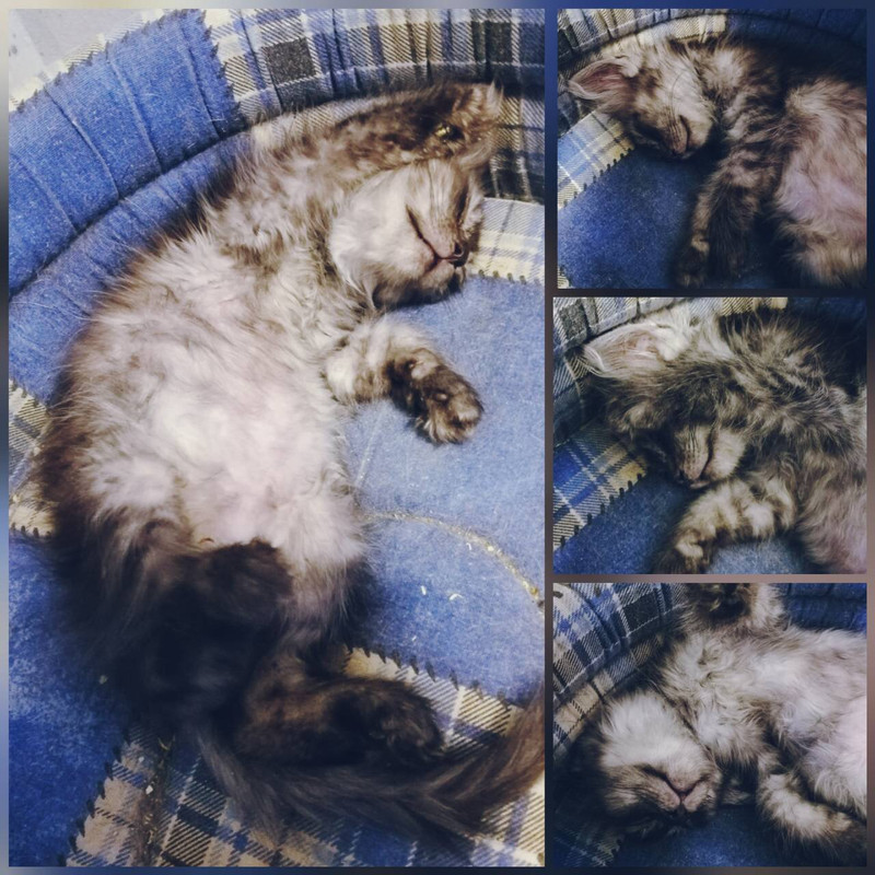 82432C92-52CE-4128-94FB-0C4A8304B528