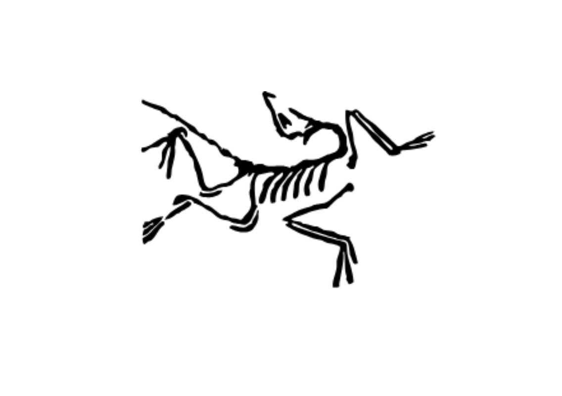 ARC'teryx