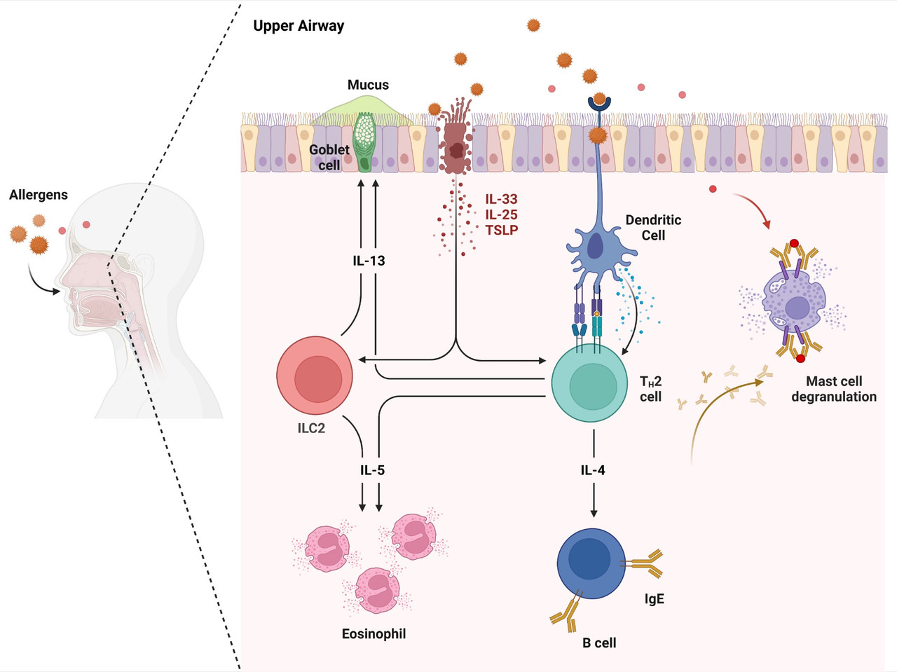 eaa 04 1009111 g001 big