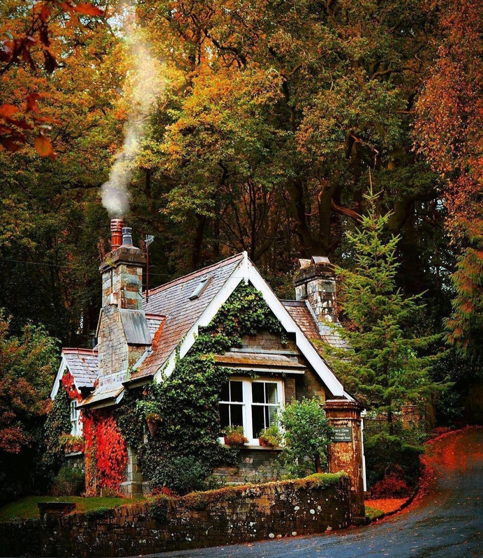 Screenshot_20231208_222902_Instagram