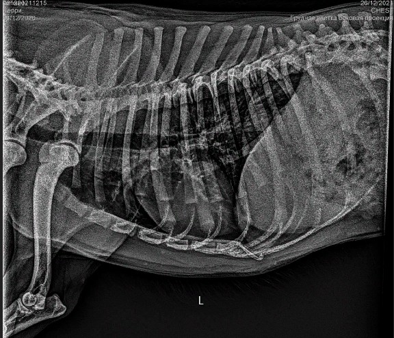 Скриншот 28-12-2021 15_30_05