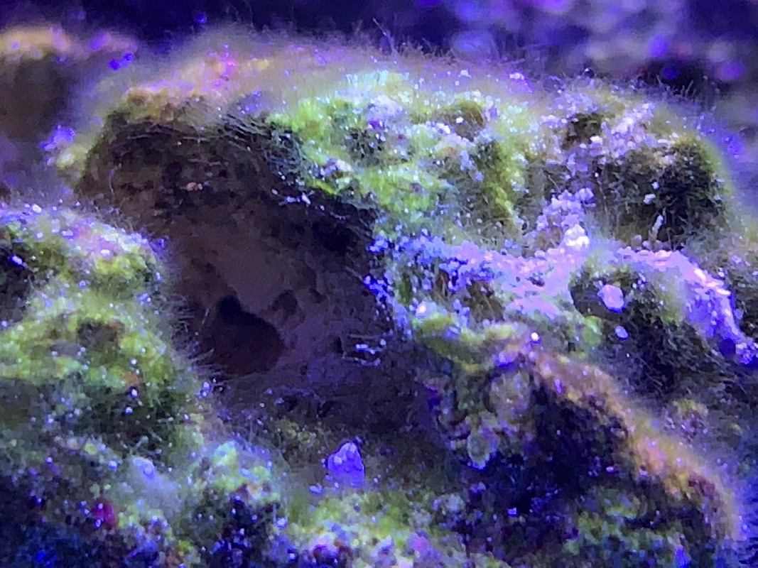 8EF00A47-7A0D-41FF-83E1-C3CBB38D651E