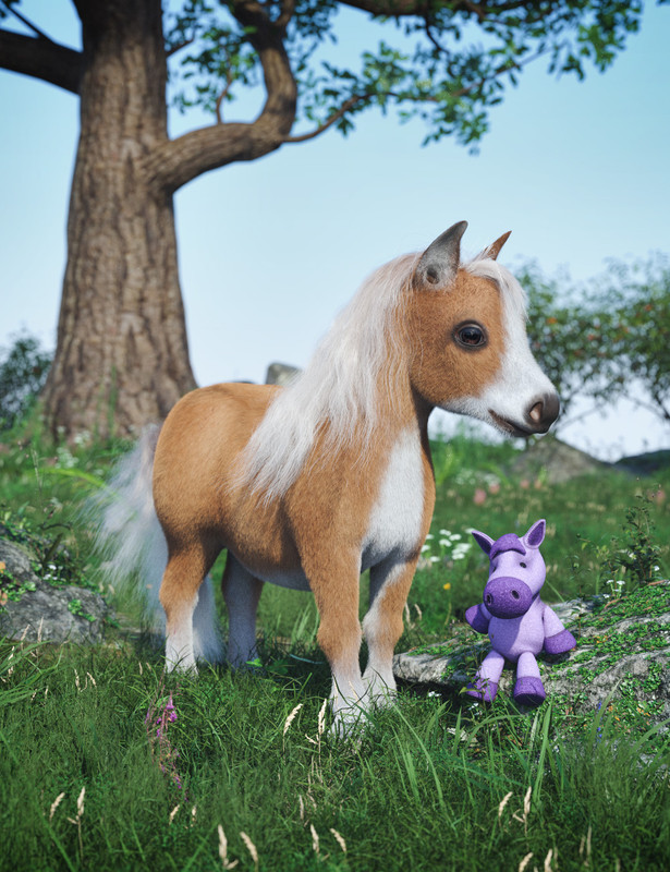 Pocket the Miniature Horse Pocket the Miniature Horse