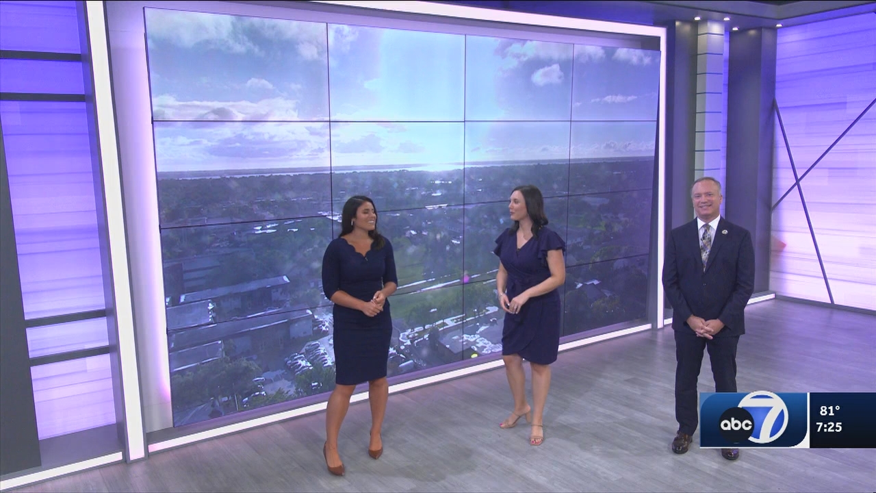 06.14 - 00.00.00 - ABC7 7O'Clock News  ᴺᵉʷ. No Description Info.ts_snapshot_28.38.988