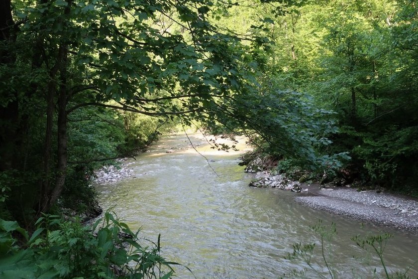 Travnik2019