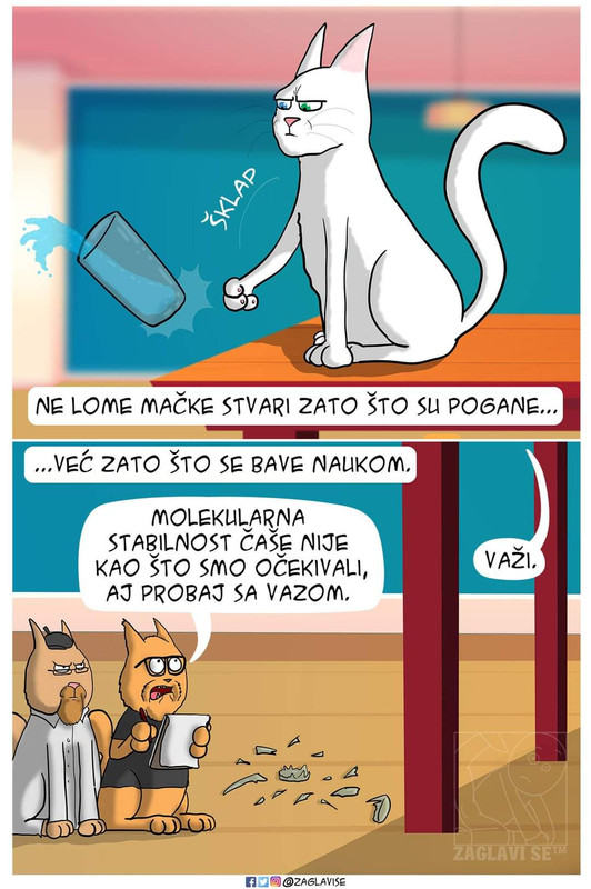 FB_IMG_1600443319111