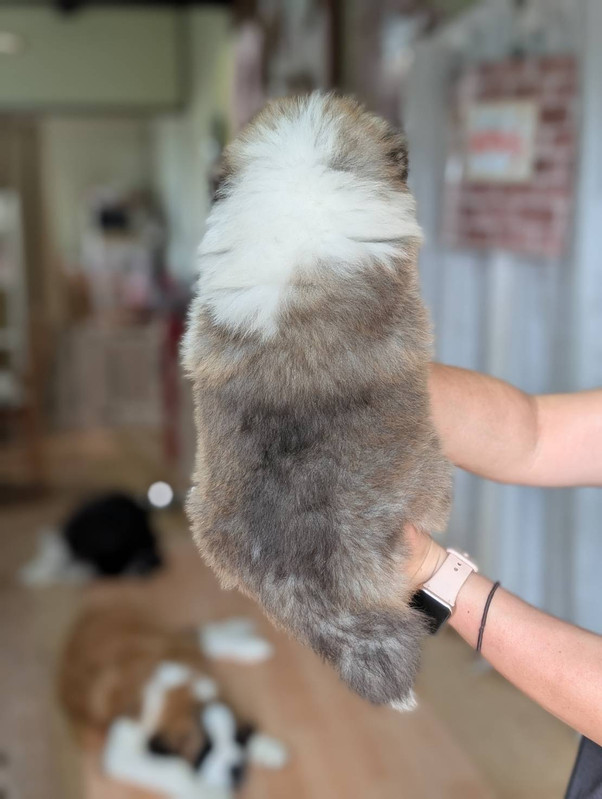ふゆちゃん 後ろ