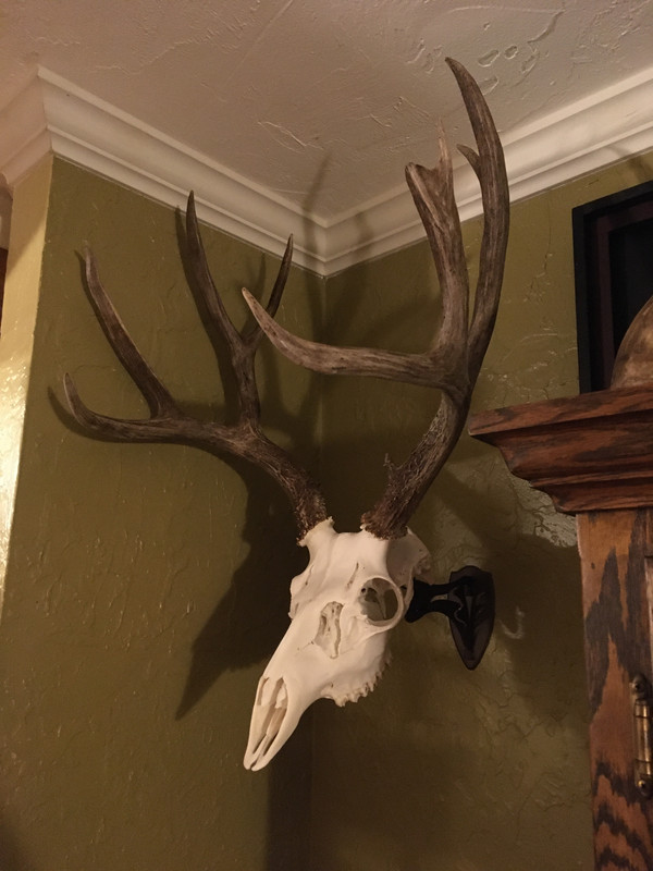 03D2BDA3-12E3-42F1-AF12-C696BE44F7F3