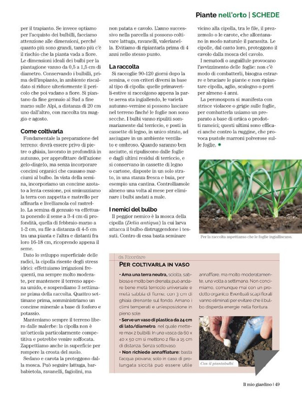 Il Mio Giar Feb-Mar 2022 (10)