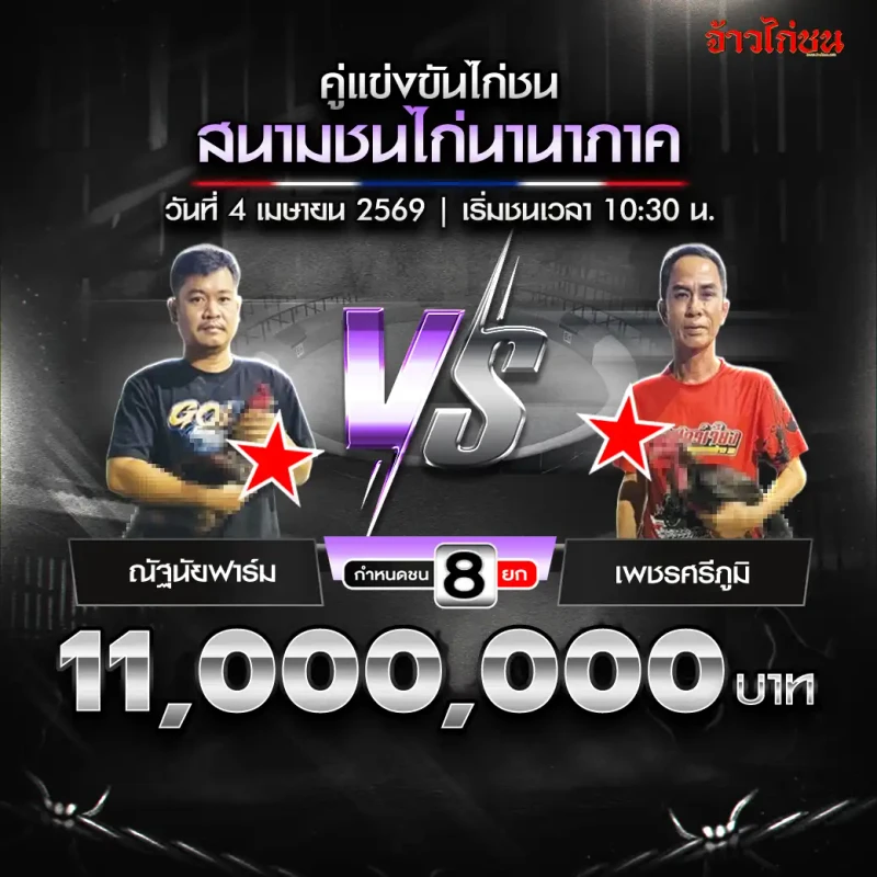 ณัฐนัยฟาร์ม vs เพชรศรีภูมิ โปรแกรมไก่ชน สนามชนไก่นานาภาค