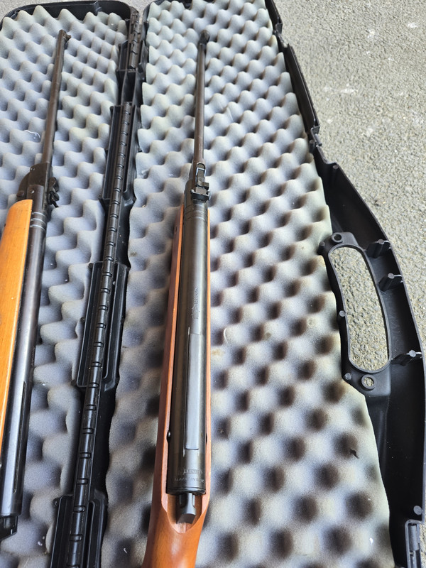 17454275082838814625945369307204