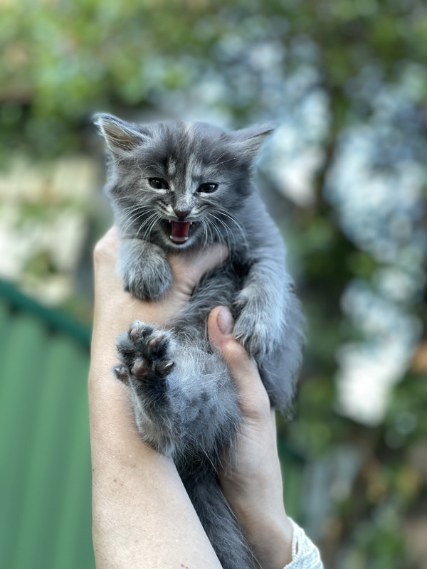 F8F42E39-9A40-407D-AB80-05976F42DF27