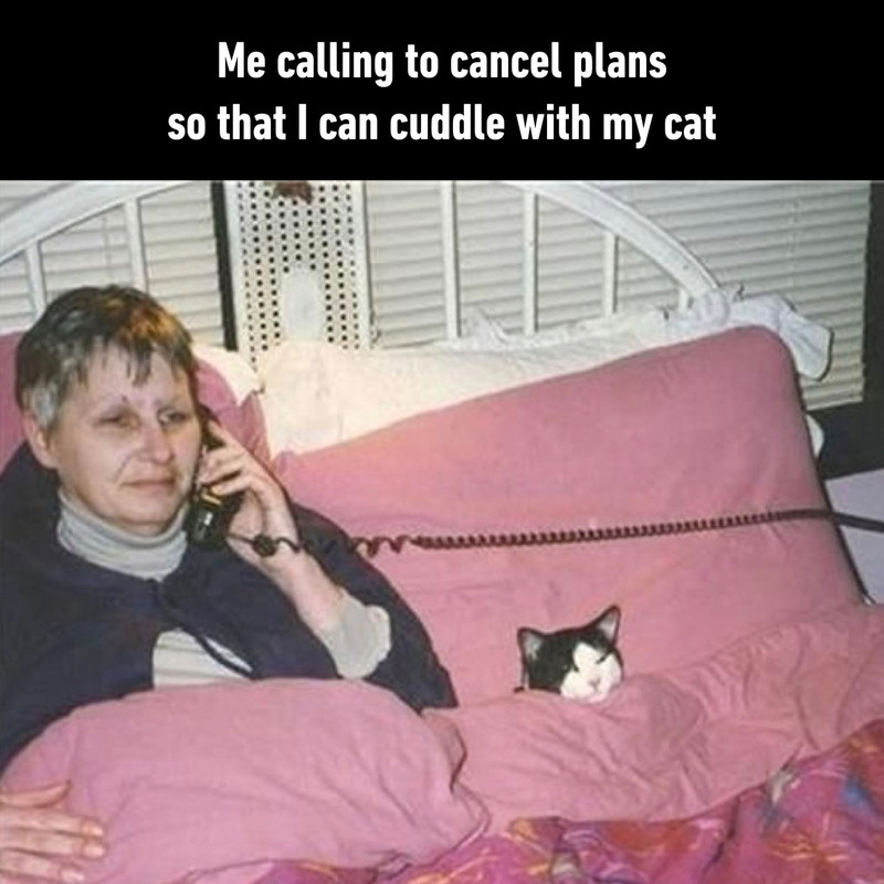 568343435-19134625618020807-1295964506424668850-n