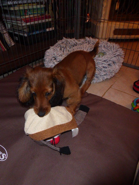 [Image: P1050406.jpg]