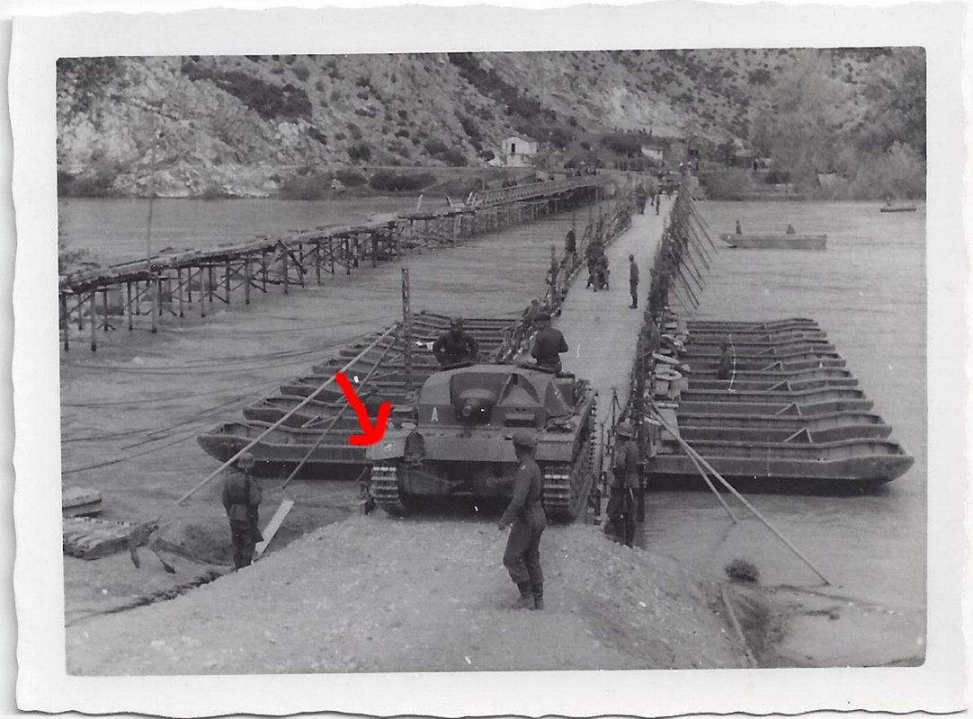 Panzer Sturmgeschütz Divisions Kennung Löwe