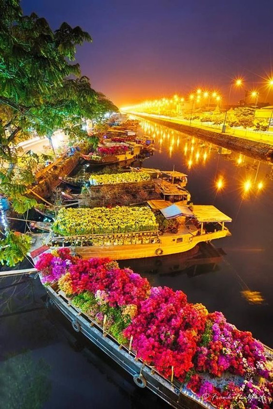 floralboatsvietnam.jpg